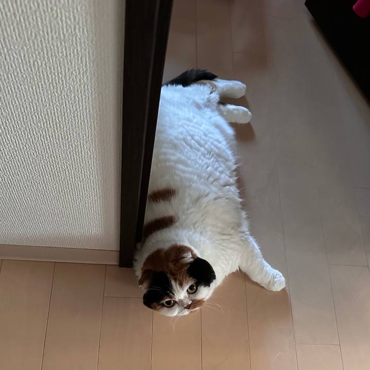 51457899 6538 4b1d 86e0 4f7948af4b7d 1687579393699