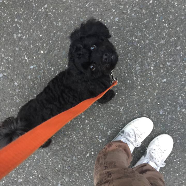 51457be1 a01c 442c bef7 ef5845b21855 1531197855973