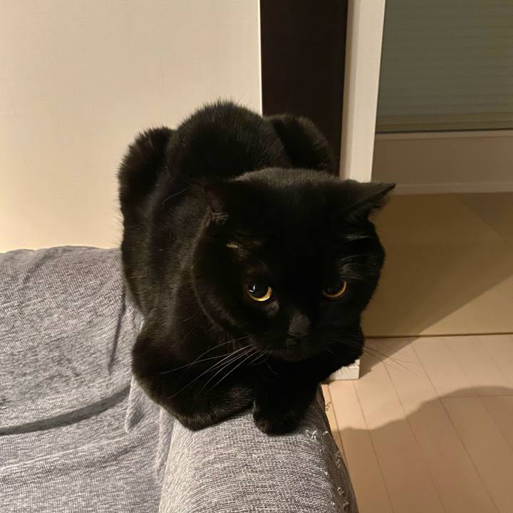 5145a485 63d2 4ce3 89ad 4b069c0ae76f 1745582396934