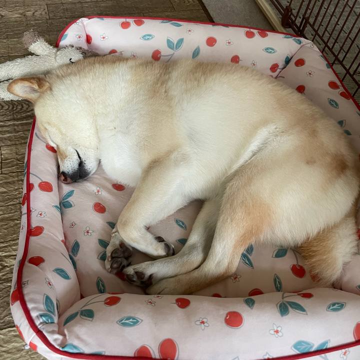 5145b42c ca16 4496 b250 2ca9426f28c2 1715482121323