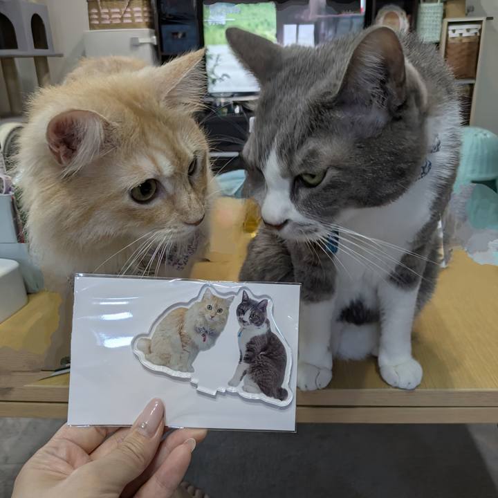 5145c077 4ef5 4660 a298 994f7ae9dcf9 1756800748533