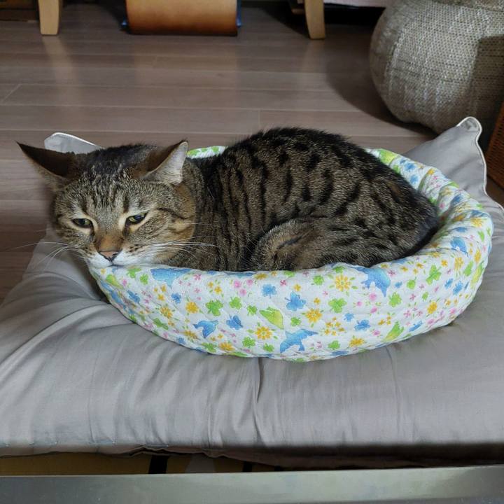 5145c9d3 7d1c 4615 81c2 8b8ffd67fdbf 1636277943317