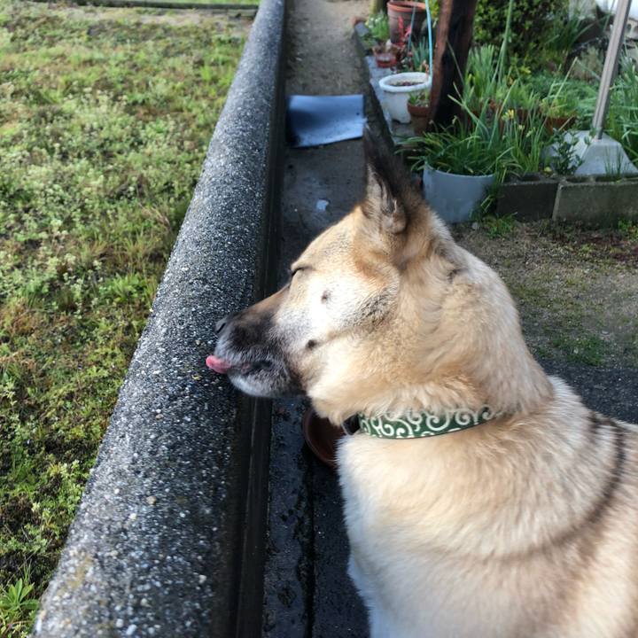 5146089c afe6 440c 8bb4 96fe5f85def5 1584361495489