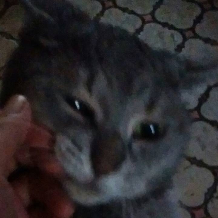 51467efd 2337 4992 a2f0 b655e5391c63 1597442275854