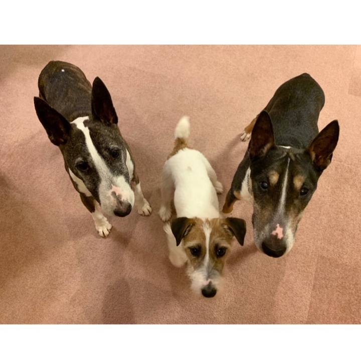 51468295 657b 4405 a677 8363c0b85641 1585394294373