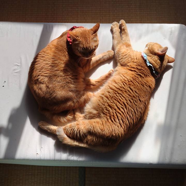 5146953d 98a8 41f2 a15f 7a1dcfe83e70 1638341269125