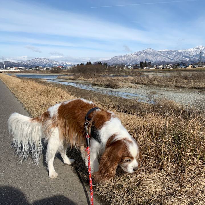 5146b0d2 893b 4456 8247 8a140d409fdc 1579232136901