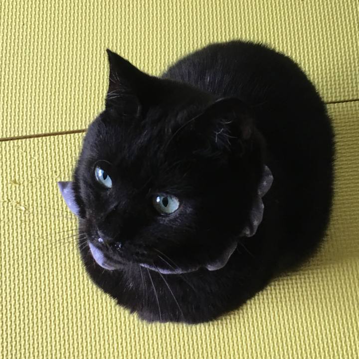 5146b48c 1706 4765 be48 f8d868053a47 1566043408879