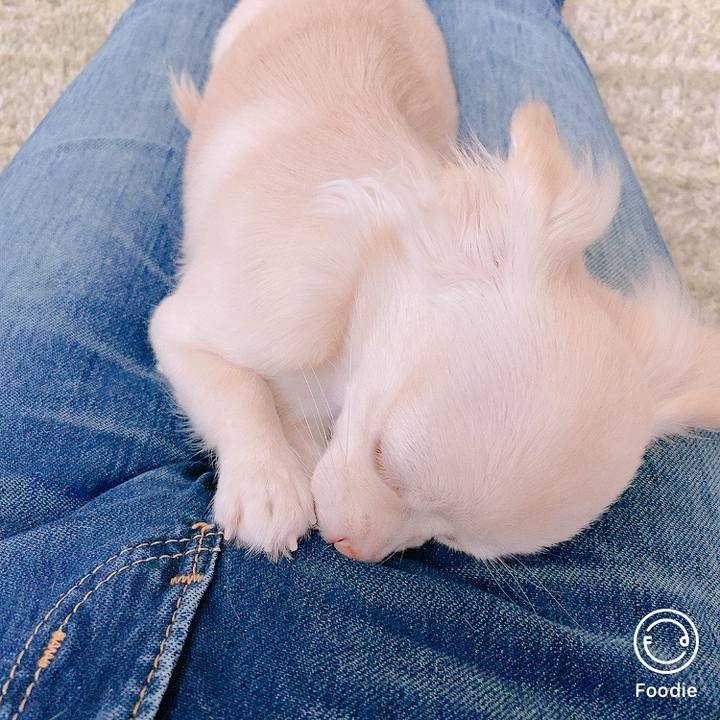 5146c04e 585b 40f9 b640 1282cbe64e1e 1600238217347