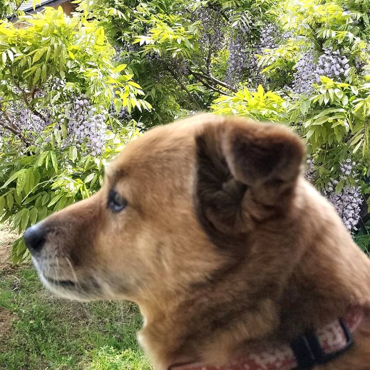 5146cd1c a3d6 405d a4a1 db3cbd67e4a6 1746413992228