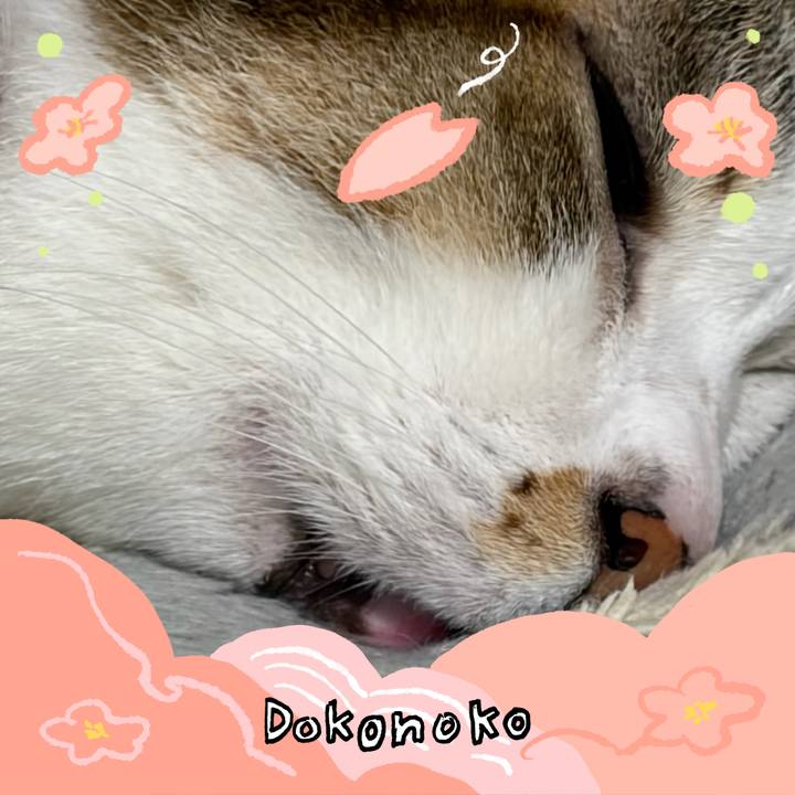 5146e3ea b588 4e6b a42d 97c359f3757a 1775187210599