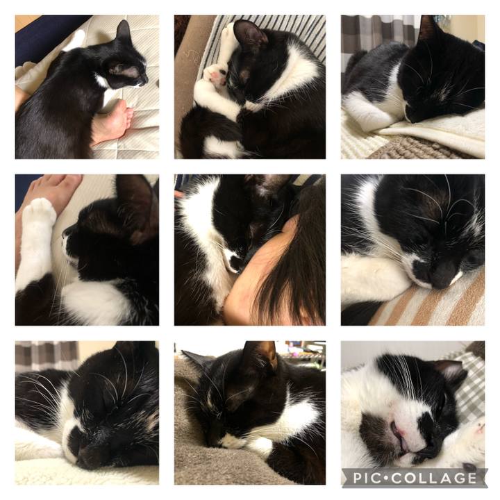 5146e3f7 2a5d 4145 839f 2bd9eb71b958 1637960024539