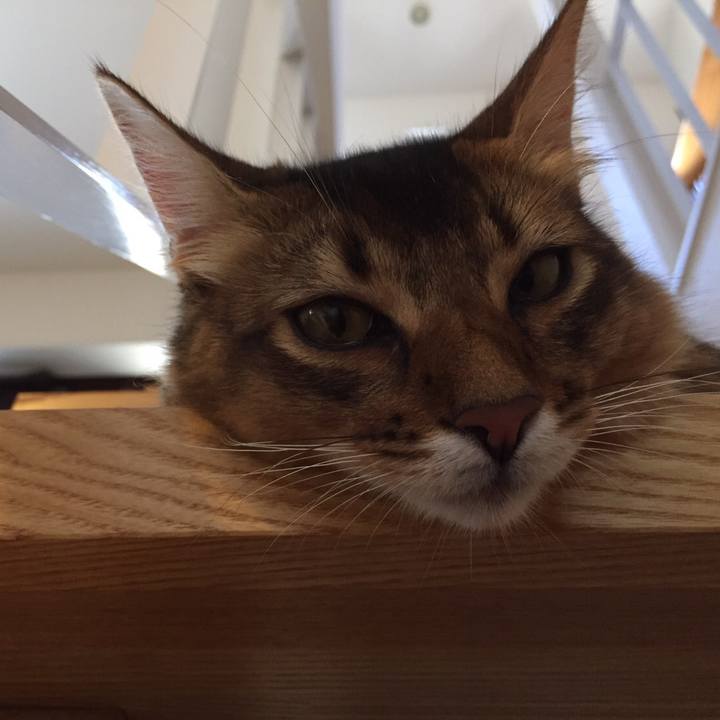 5146fd1e 631e 409d a046 4fced97a916b 1565310840252