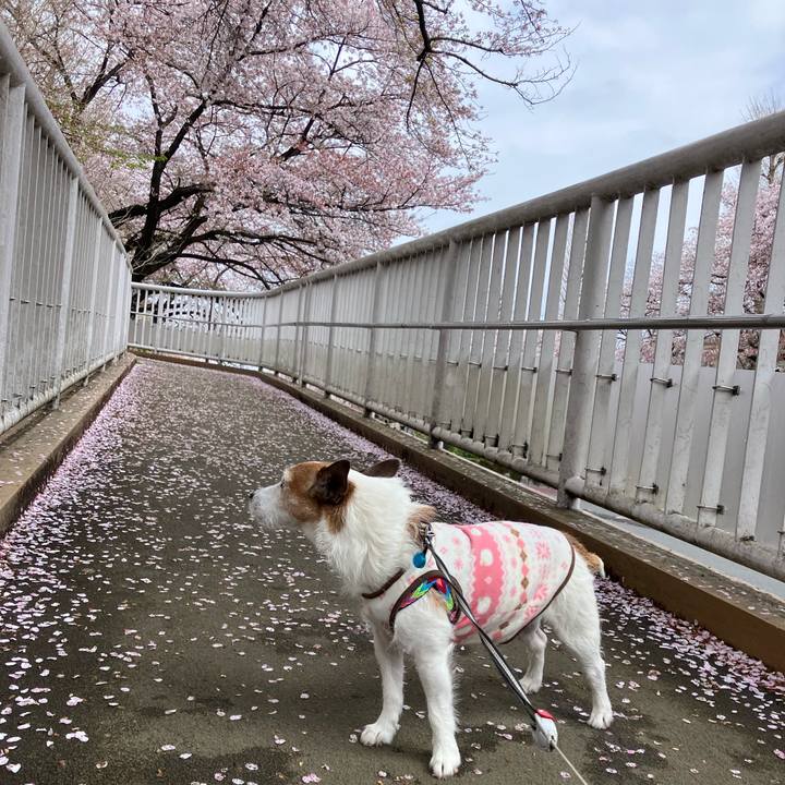 51470b69 eb0e 437d 9490 9c2a3dea3e1b 1680737287667