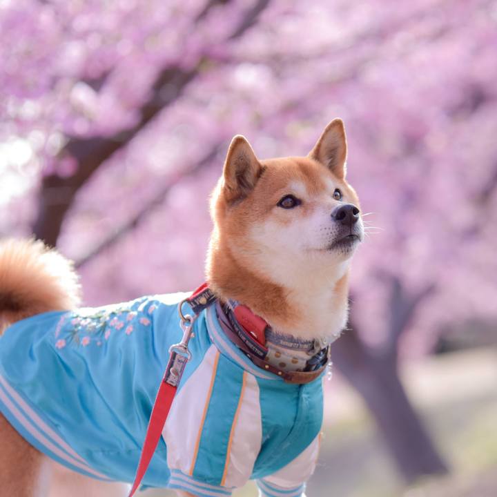 51474400 0764 4de7 b5bb 06f55042499a 1709694849479