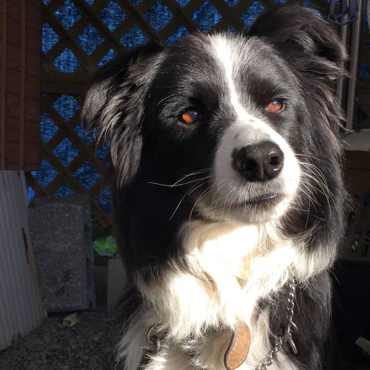 514746a8 54d1 417a a336 e1f93d362c43 1539992812559