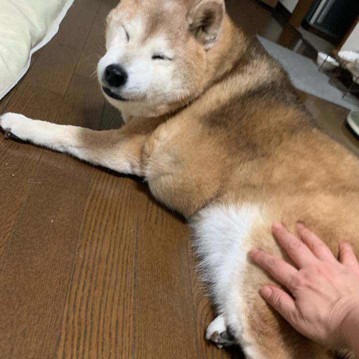 5147742e fe97 47ef 90c1 c5f498e5c5d0 1668853934886