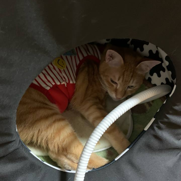 5147812a 63ae 4765 80c4 ff629cbb5ad7 1576683559745