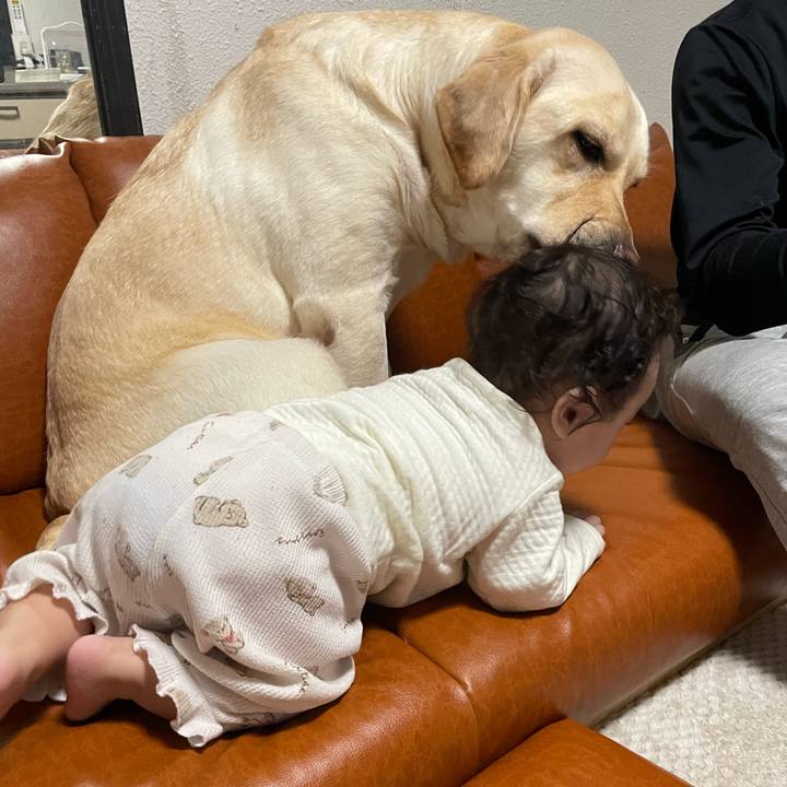 5147e4ce fabd 43b9 8d2a b9e90a86df37 1733092521415