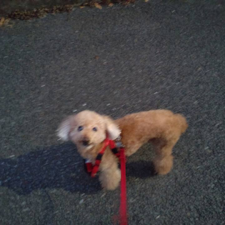 5147eac5 c4c9 46cc ae66 5c71d3538f4b 1655041246531