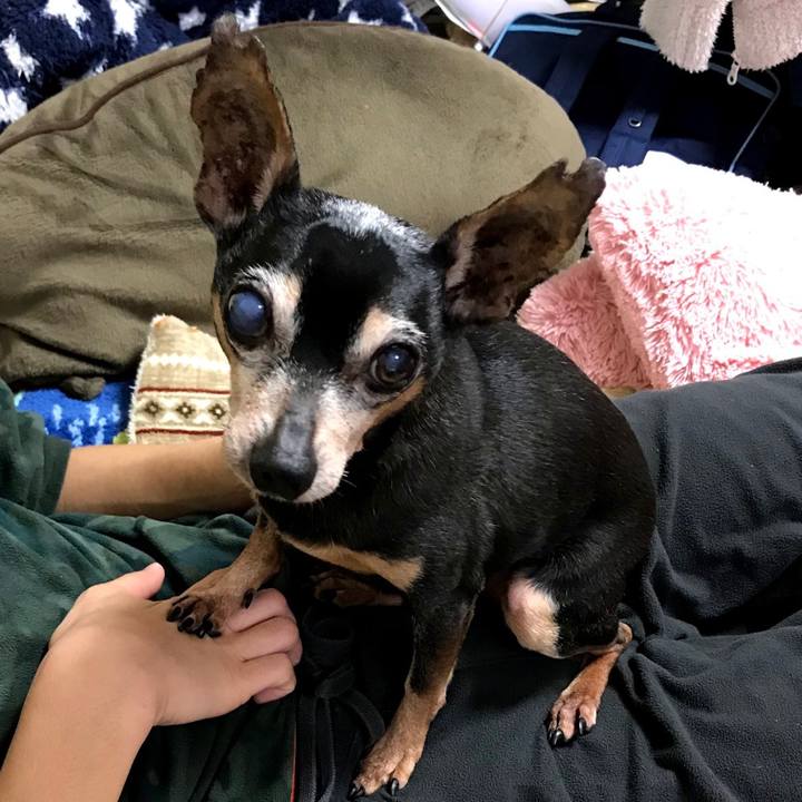 5147f5d7 716a 49e4 97c4 4e89a0ece5ff 1583650407880