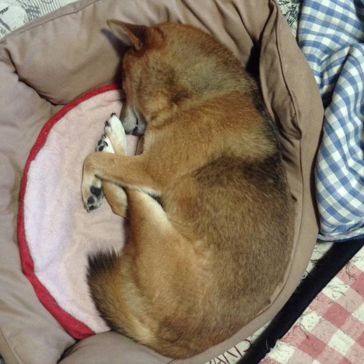 51480ad8 dc87 4916 963c b8afd7d2c054 1510182324414