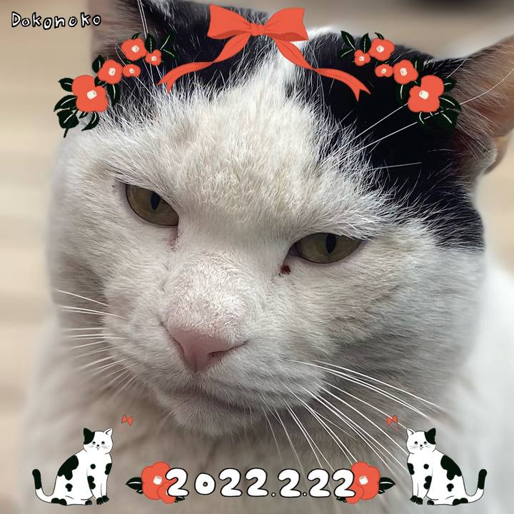 51480dd8 a41d 45a8 a568 491e295fe643 1645526782644