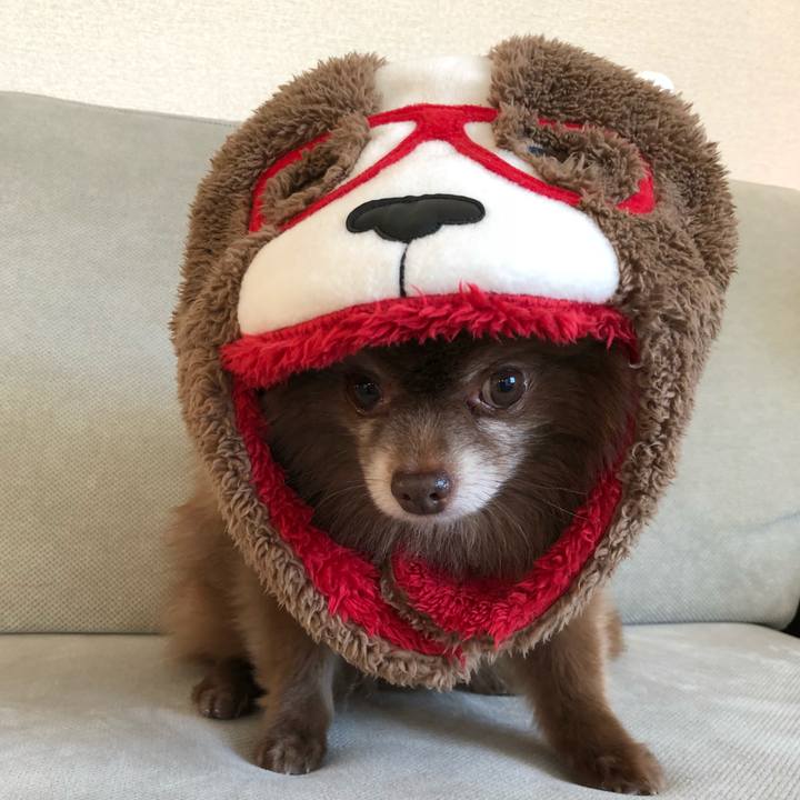 51482e9e 550c 4fc1 bd06 bb9226ed72fd 1546817024402