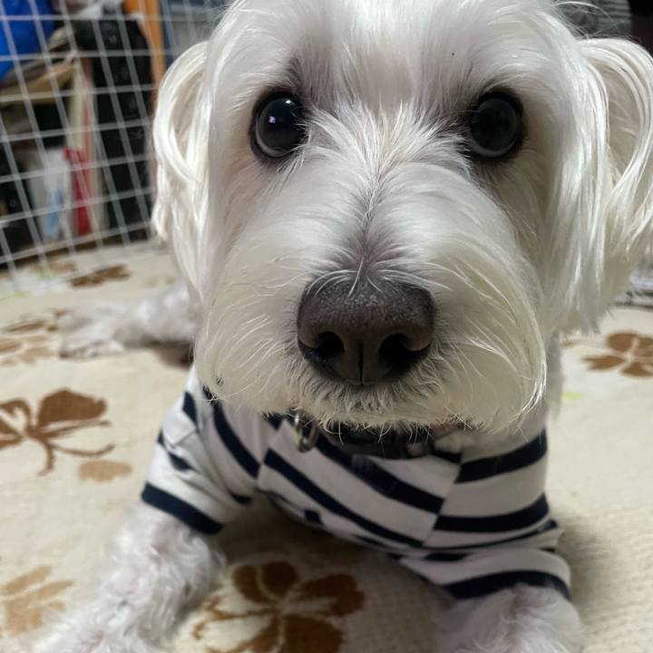 51487115 b38b 43e5 9cb2 c5c8b97e674e 1731296095287