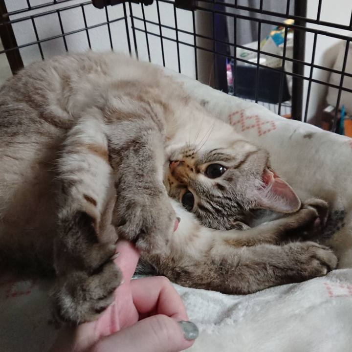 51487bd8 44c3 4418 ad3c bcbd5d17768d 1614010185605