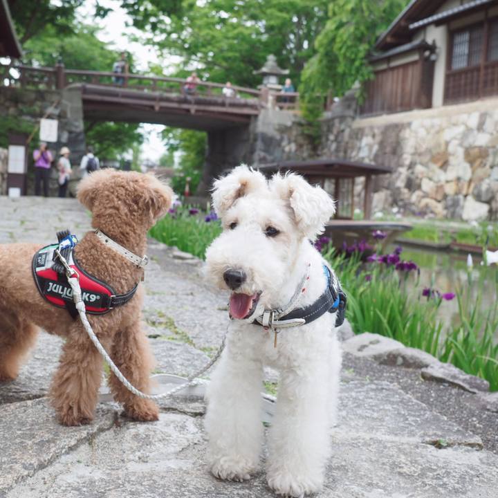 51488c2e 7929 425e 8f6d 4c2e5898824c 1560163208111