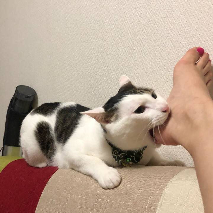 5148917f 9580 458e ab9a 7d3d8206219b 1562163895974