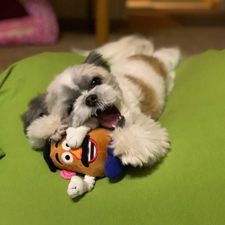 51489357 ab1d 4770 a1fc 039084e8db91 1574338950228