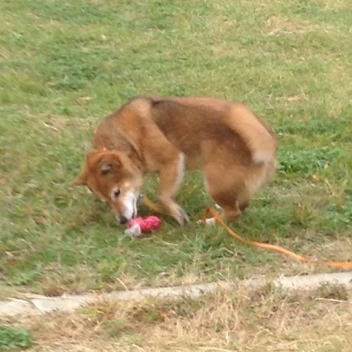 5148994a 4cfc 4535 afc1 74ae3d079d57 1507686044172