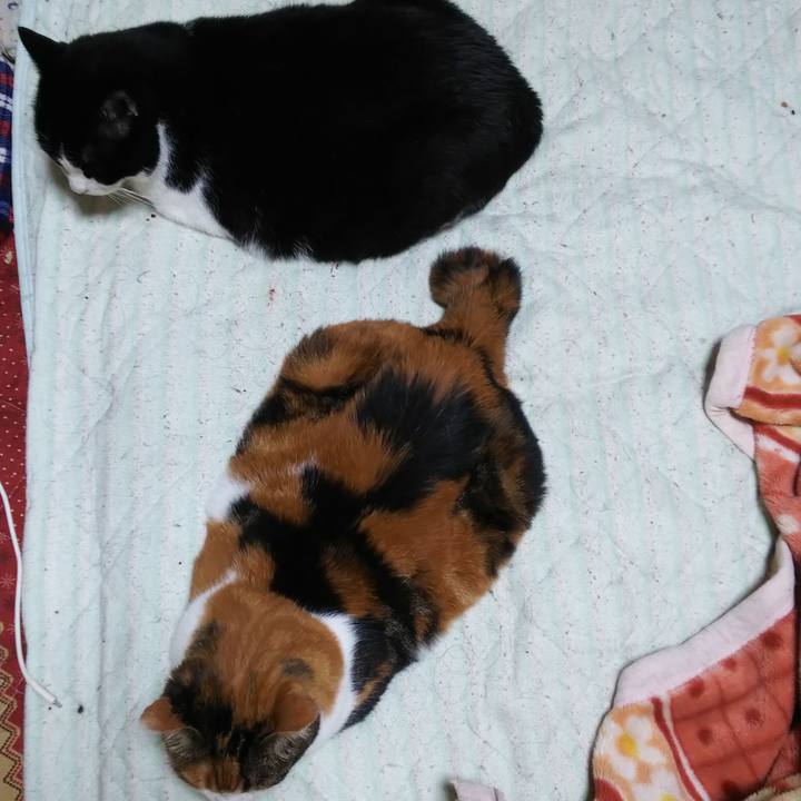 5148d8a1 a1ce 4f54 9c62 6dace8e7ae4f 1562533288293