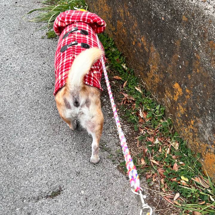 5148f636 ccb0 4989 b674 9d4754a30424 1765609045437