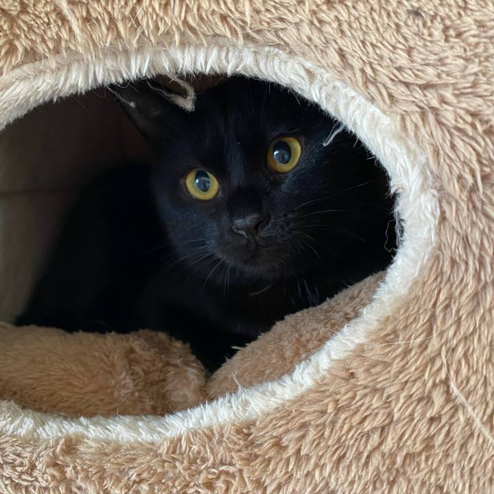 51490889 2f5a 4107 b701 f0c4e0951765 1739417318003