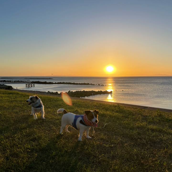 5149122c 982d 4fc1 b168 5e7a63160088 1691663378175