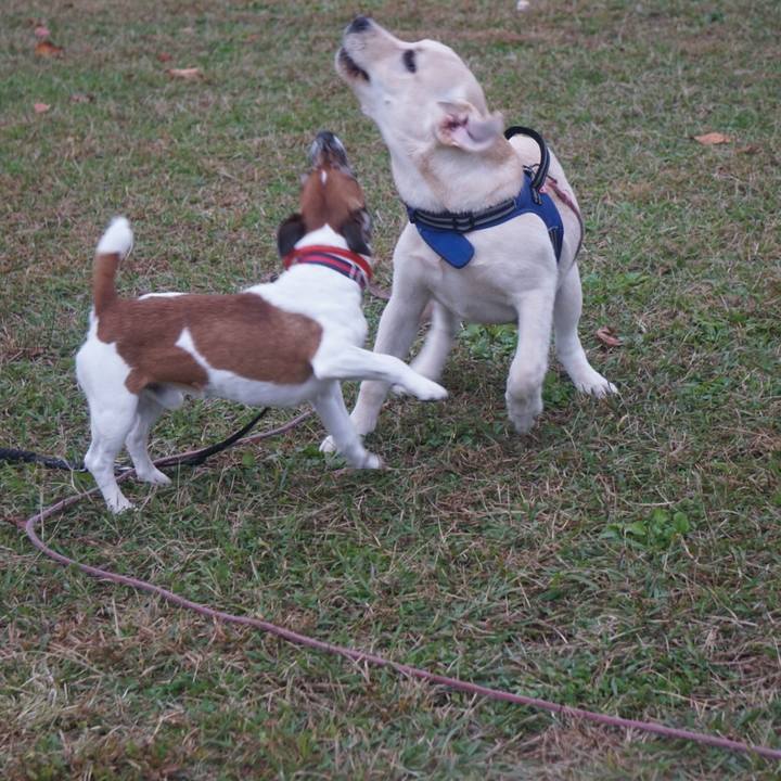 51492c8f 37b1 45c9 85c4 1158c7f98185 1604965804999