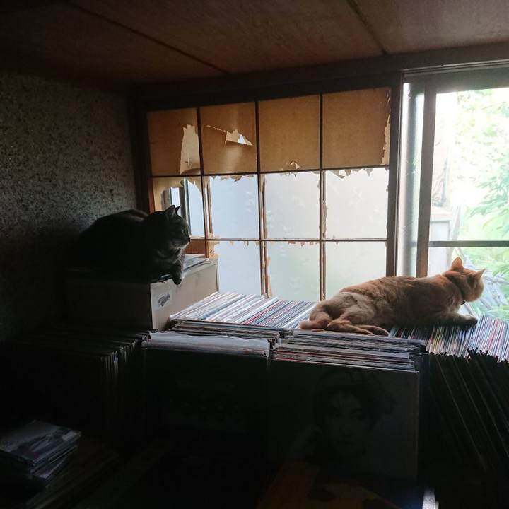 51494e60 67b5 4853 9506 839de03fc22d 1656625688453