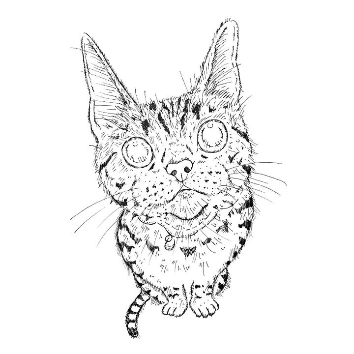 514956f2 94bb 44e3 a71d e24215f60527 1591979093357