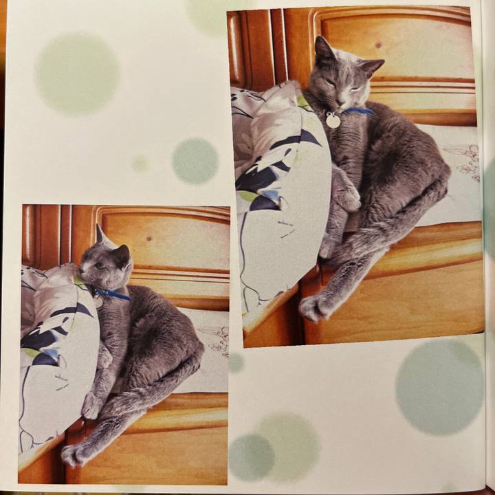 51496156 dd64 473f ac74 e173a6fb52ed 1729924908729