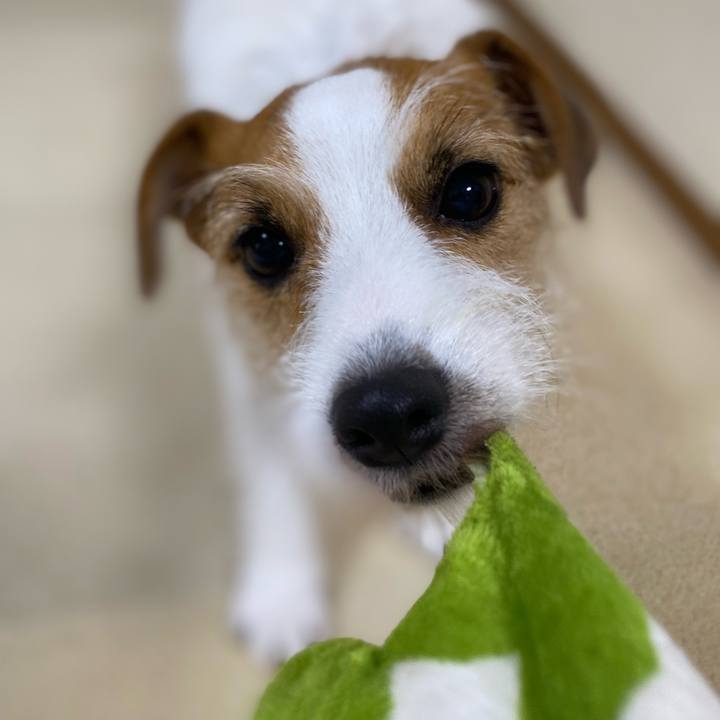 51497f69 05b5 48c8 a8c4 f0bc02d794e0 1695423018852