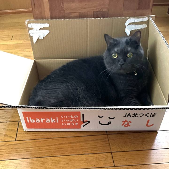 514988a8 8e6a 47ba 8336 d8d3cbddccdd 1755041644795