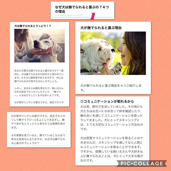 51499e65 d1d4 4c38 becb 6918b947c377 1531996524499