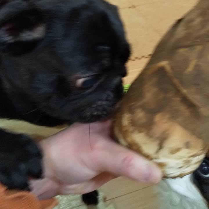 5149c367 4d58 4b5f 87fe b23a70f2c205 1587733419720