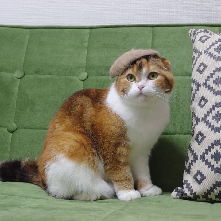 5149edef c1ad 457f bfa7 54674674bd80 1582362794441