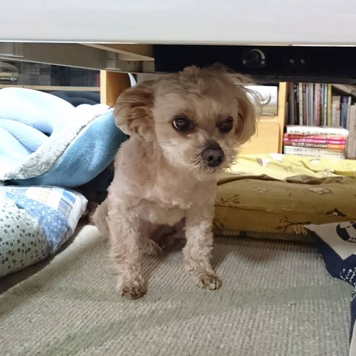 514a1a5f d771 427d b462 eb80fb6772fa 1589694579582