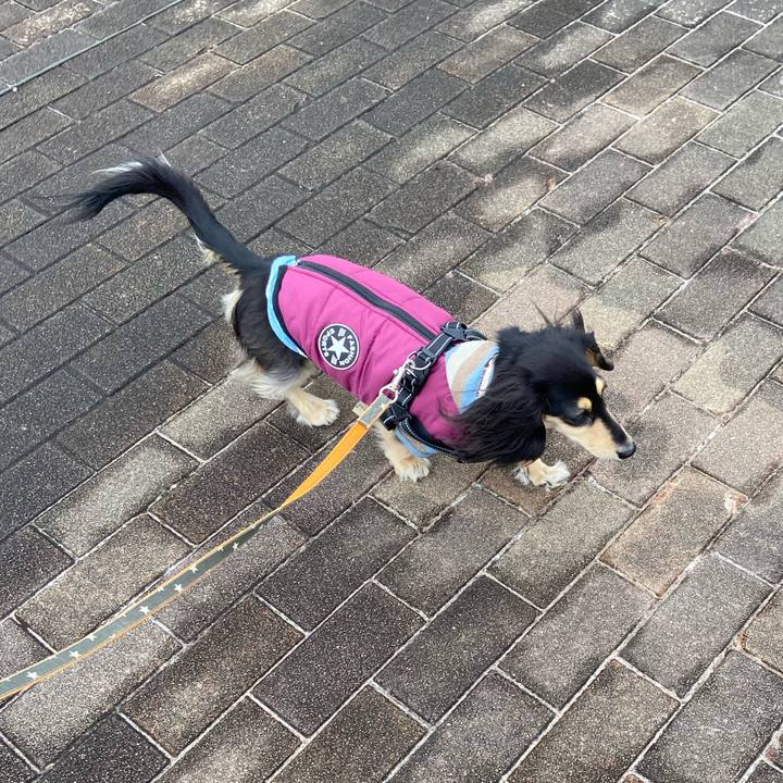 514a8181 539f 48fd bcb6 6fd80a291aa3 1741123173793