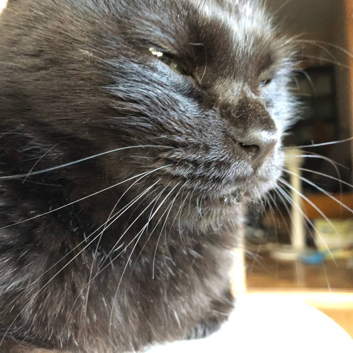 514a8749 710a 4fce b286 509043c715af 1601592310168